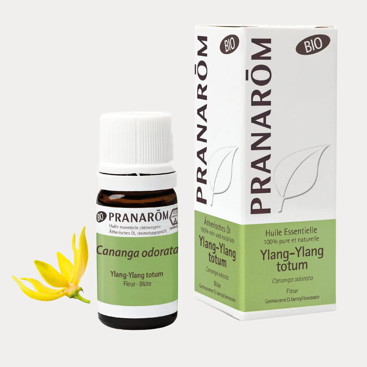 Ylang-Ylang totum BIO - 5ml - soka