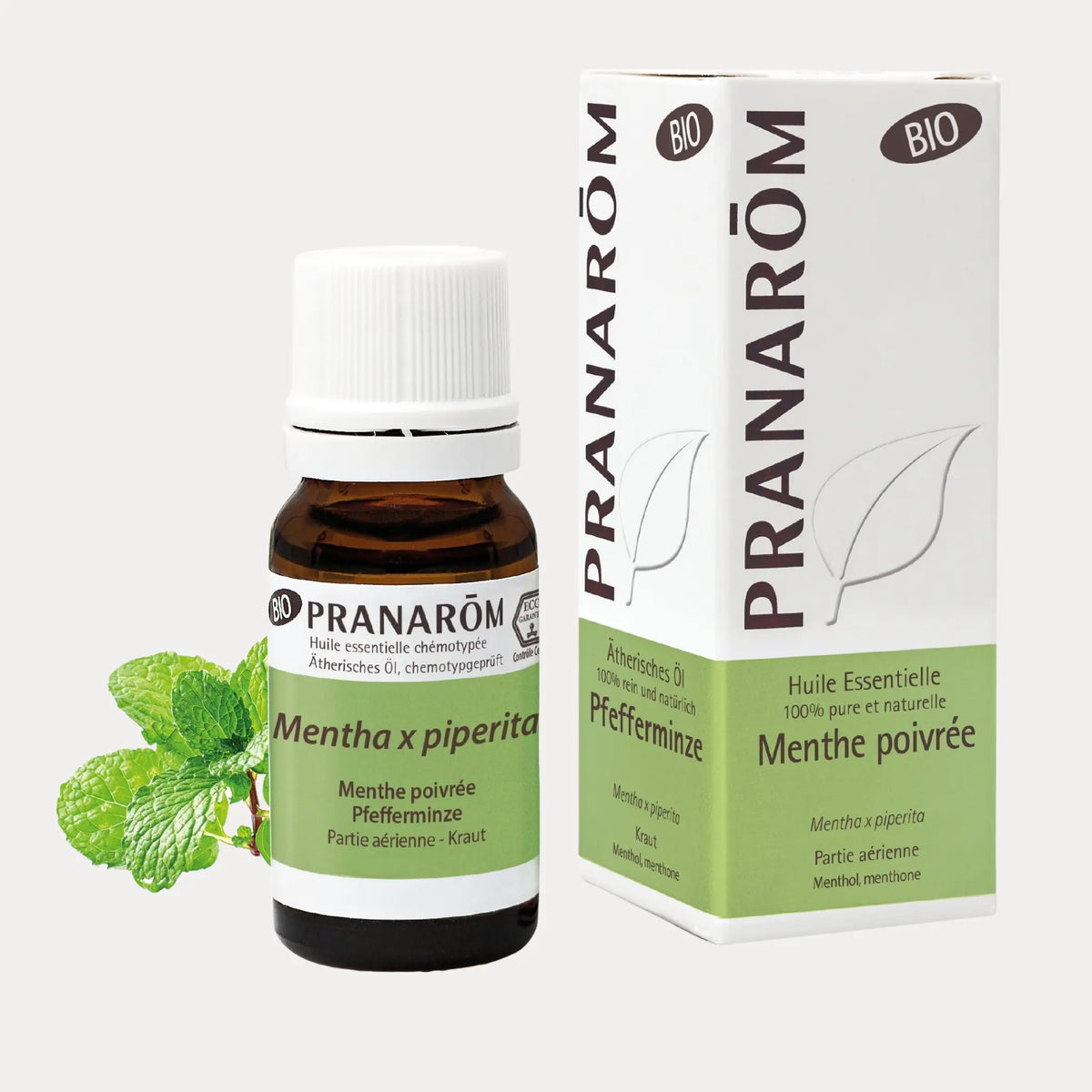 Pfefferminze BIO - 10ml - soka