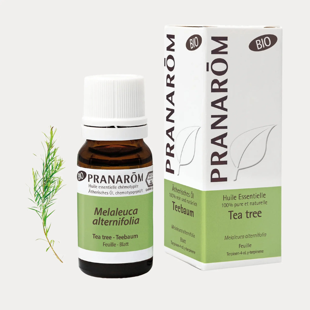 Teebaum BIO - 10ml - soka
