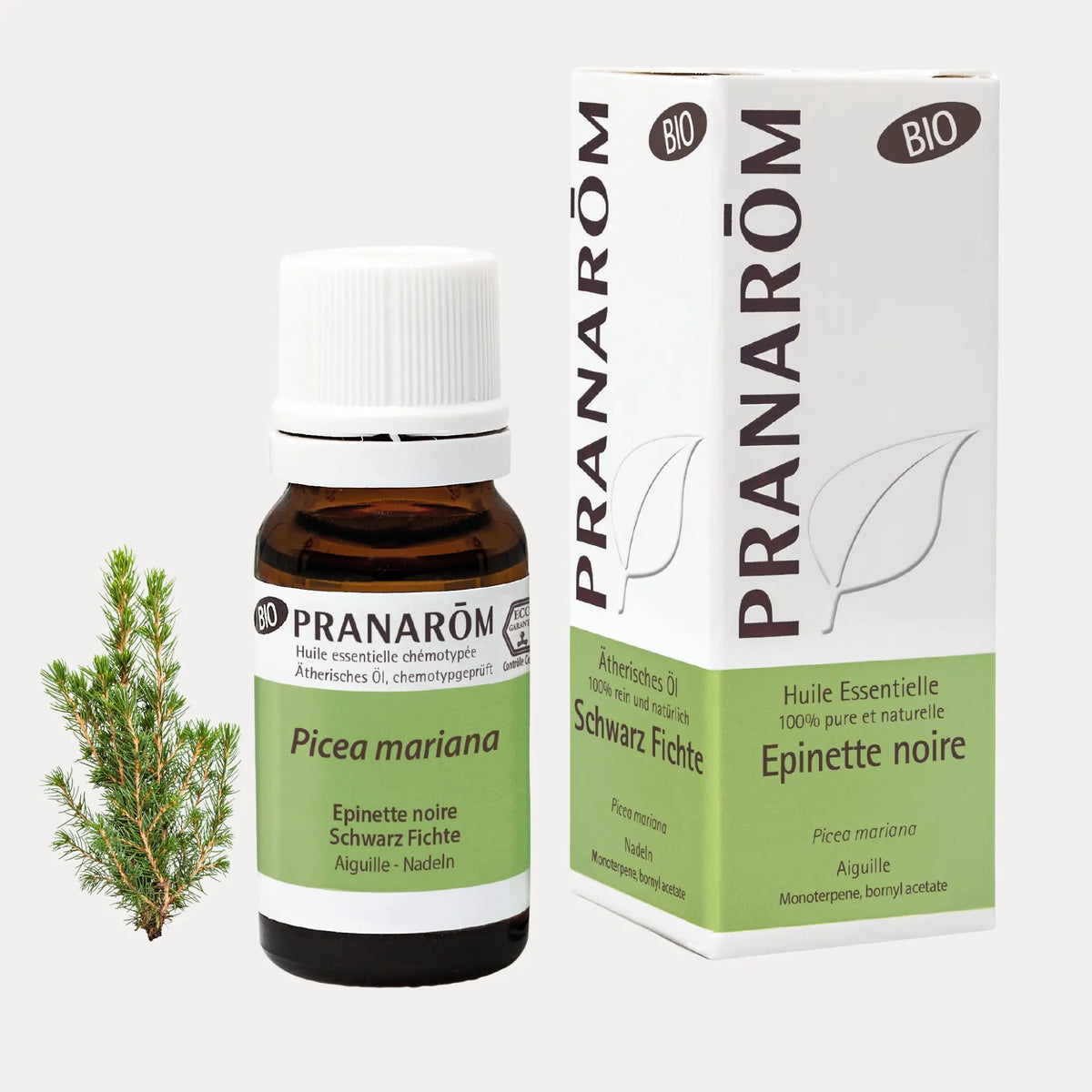 Schwarze Fichte BIO - 10ml - soka