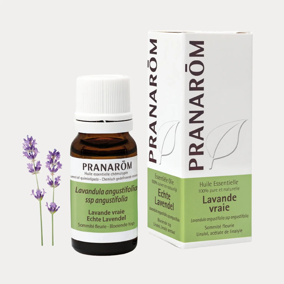 Lavendel BIO - soka