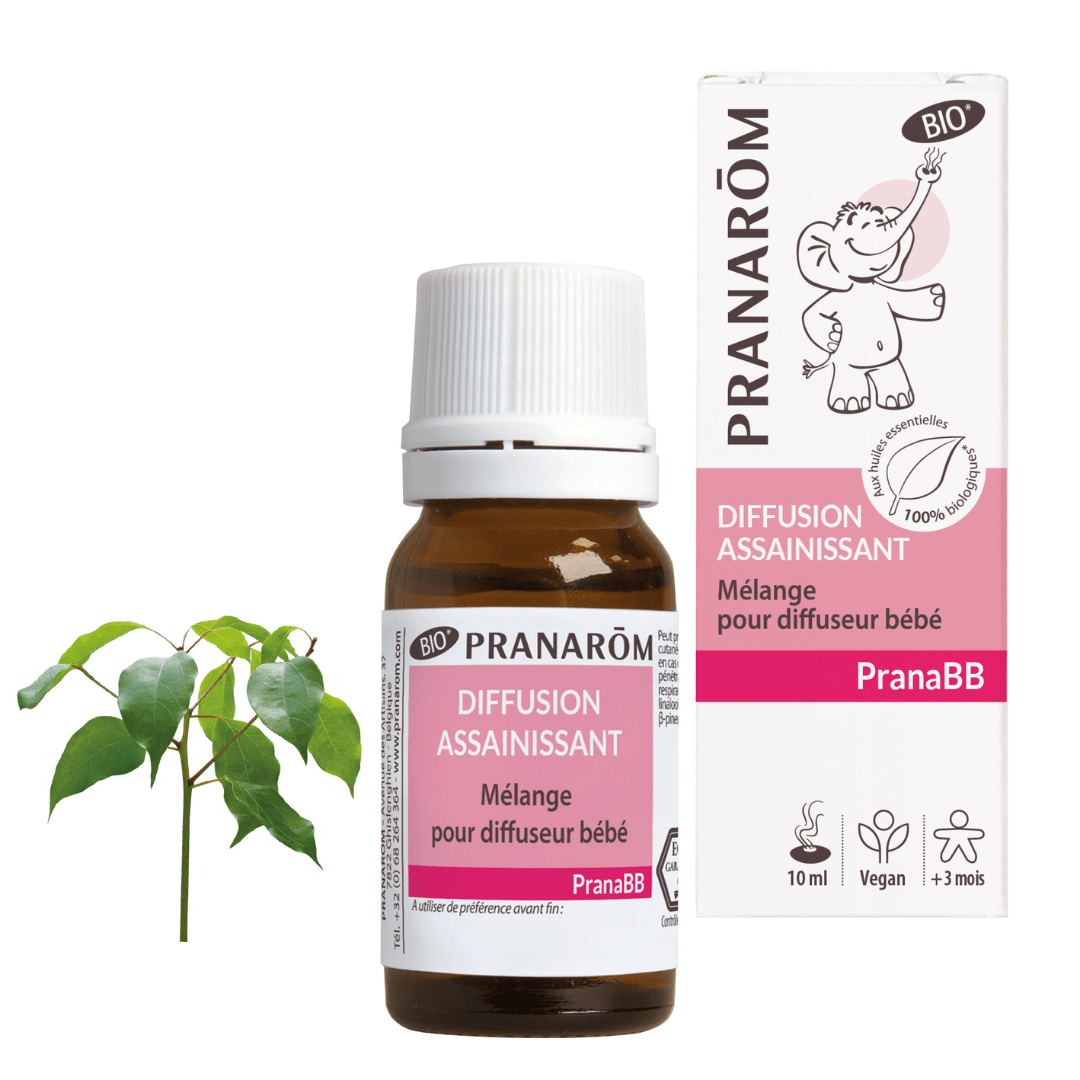 Reinigende Duftöl-Mischung BIO - 10ml - soka