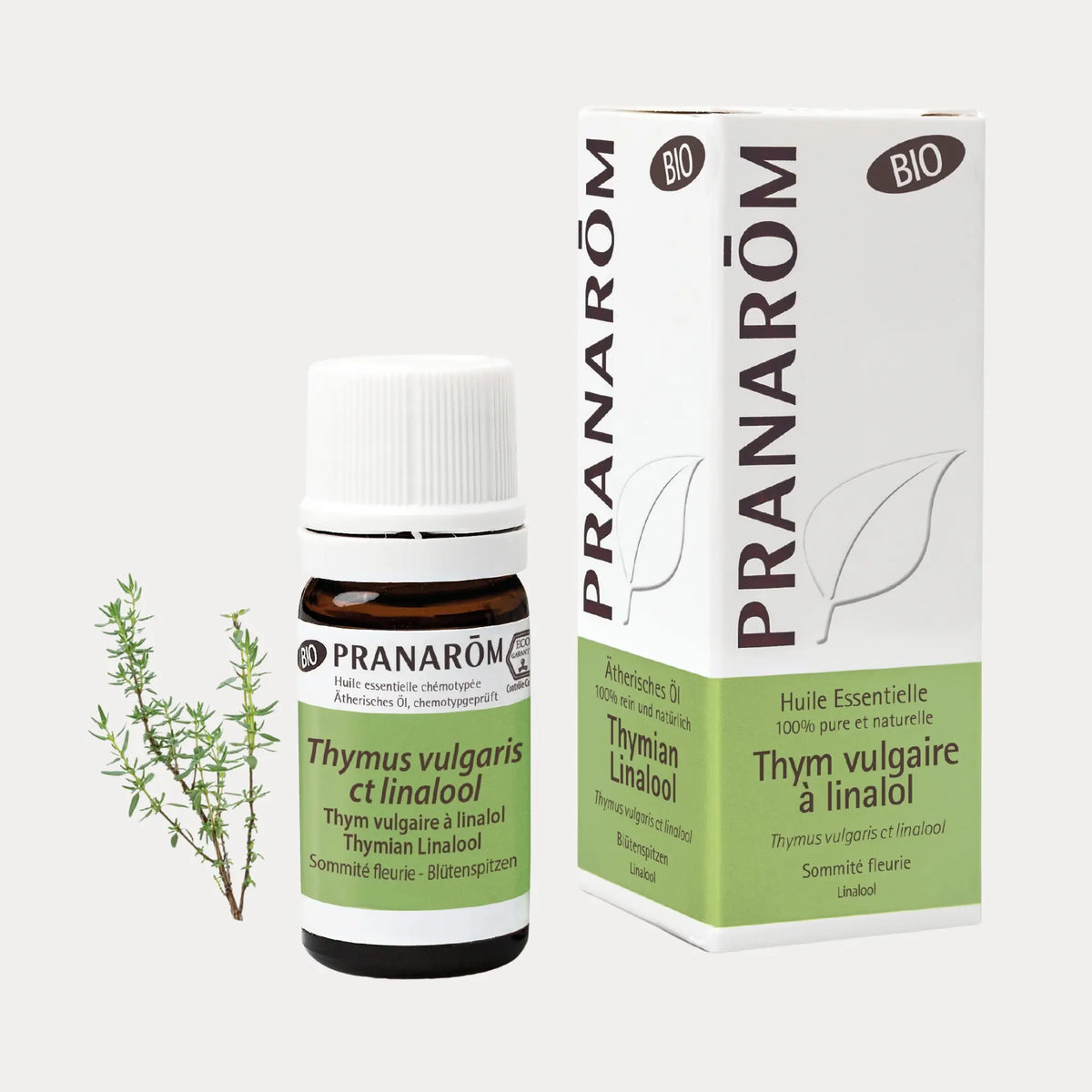 Thymian Linalool BIO - 5ml - soka