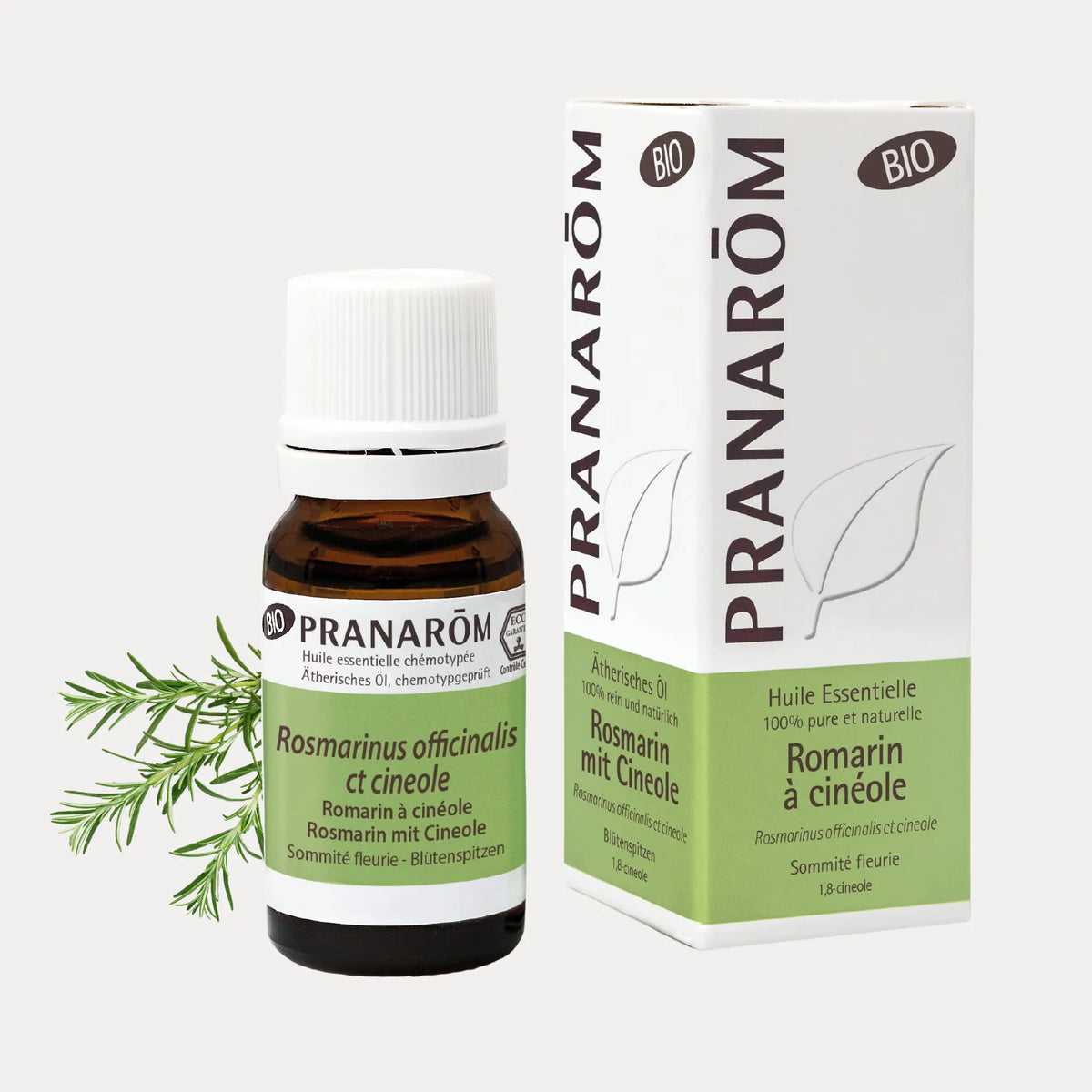 Rosmarin mit Kampfer BIO - 10ml - soka