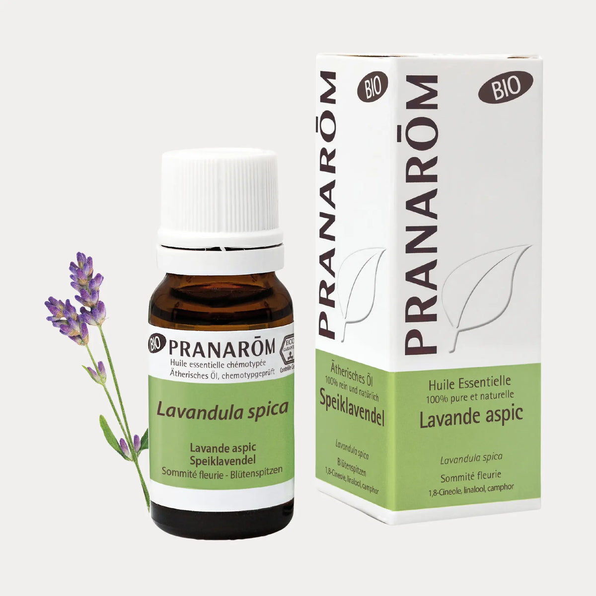 Speicklavendel BIO - 10ml - soka