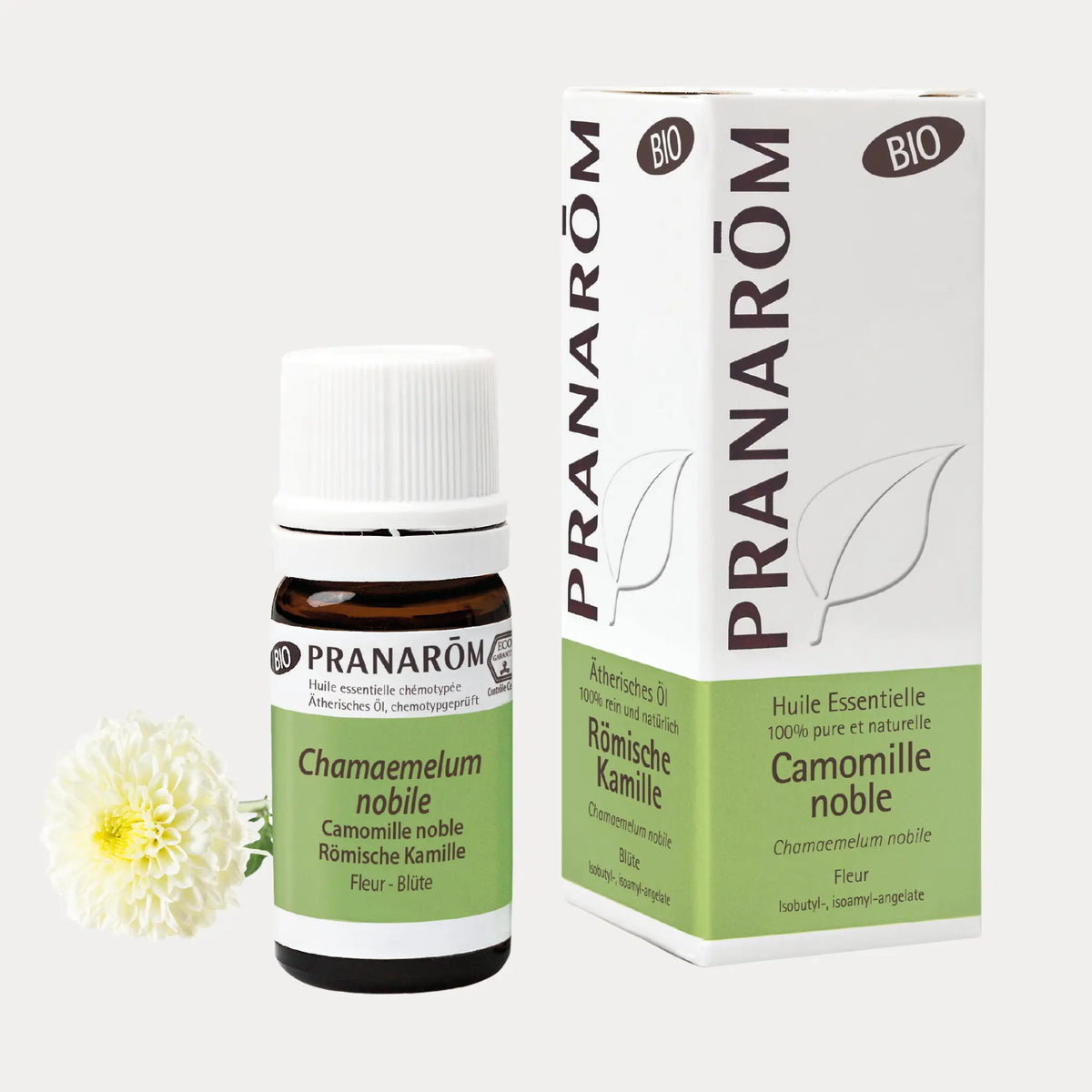 Römische Kamille Bio - 5ml - soka