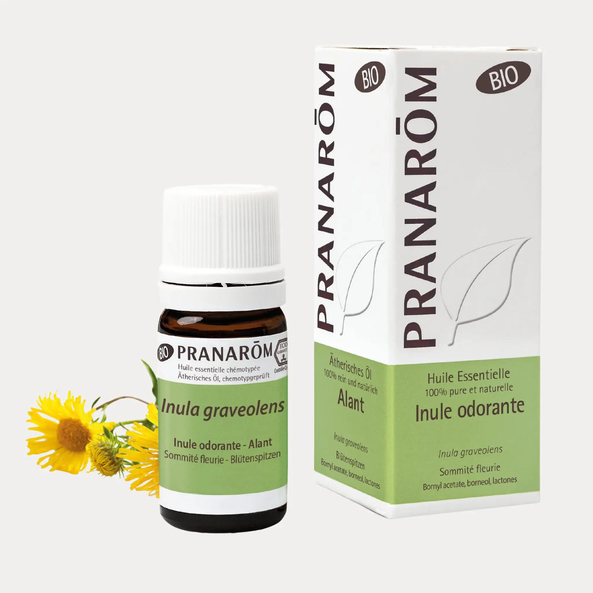 Alant BIO- 5ml - soka