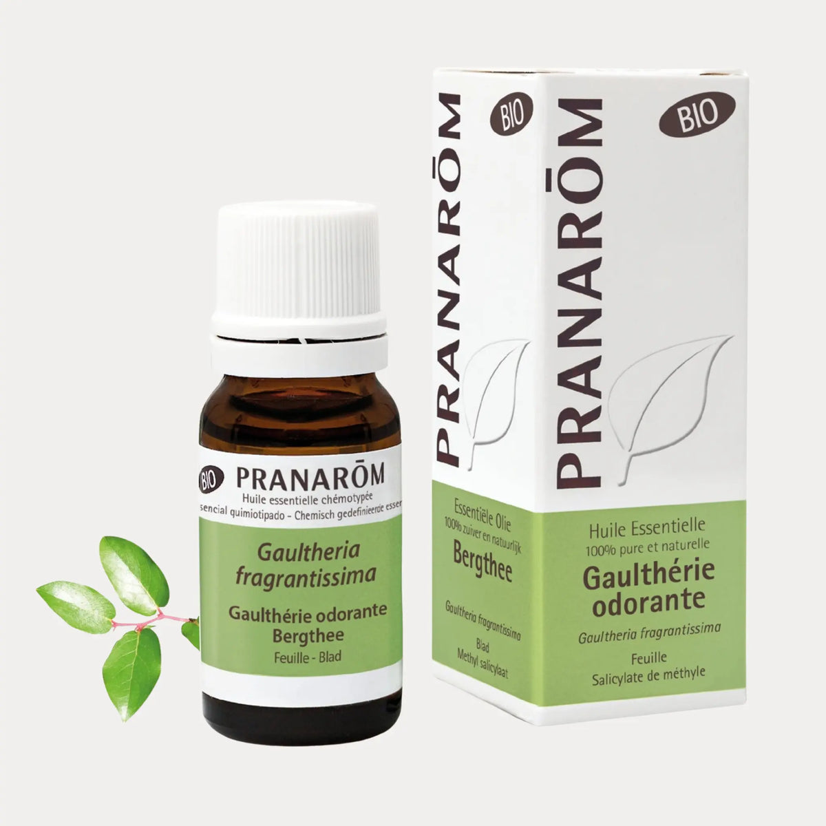 Wintergrün BIO - 10ml - soka