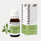 Ravintsara BIO - 10ml - soka