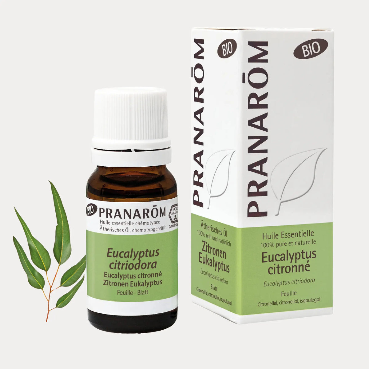 Zitronen Eukalyptus BIO - 10ml - soka