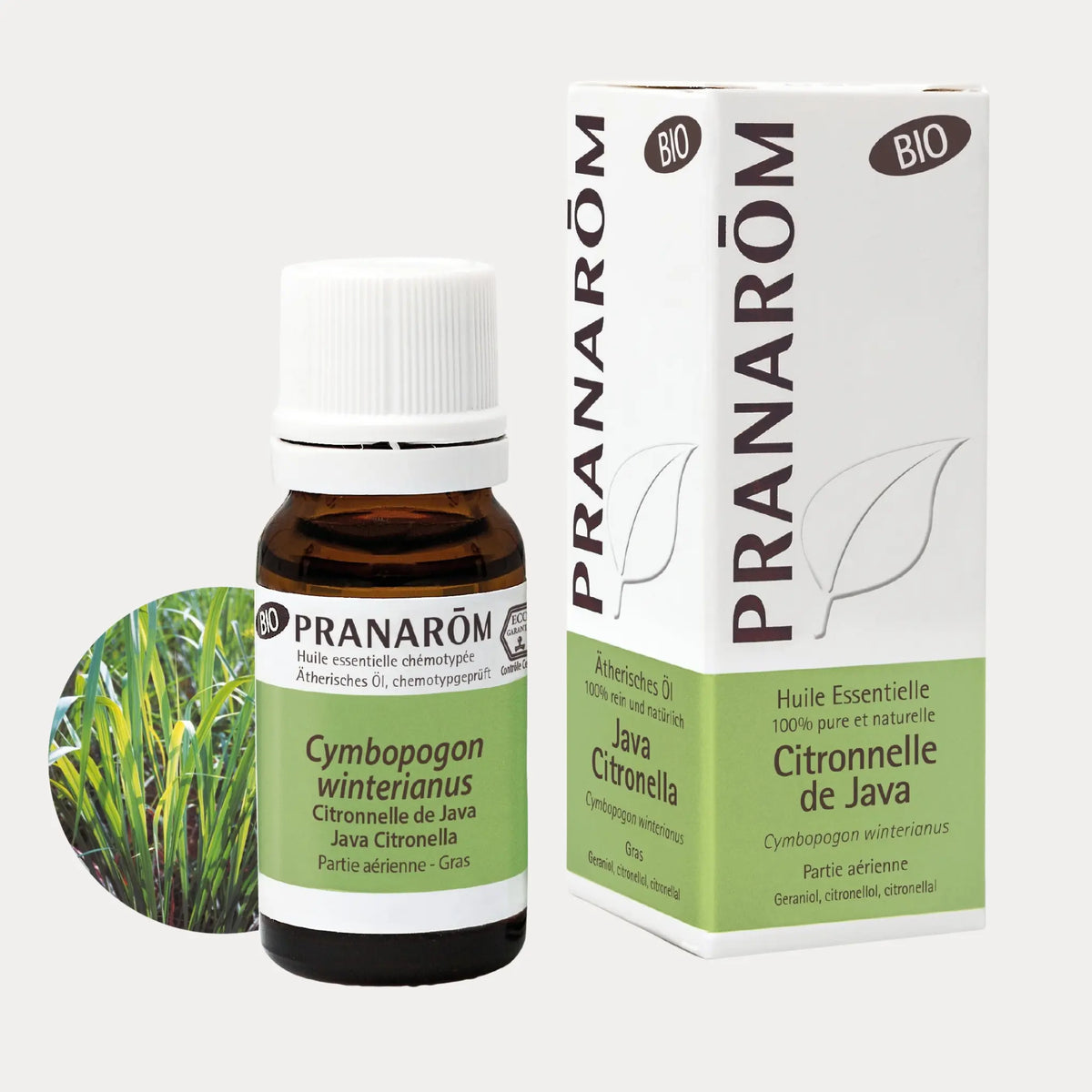 Java Citronella BIO - 10ml - soka