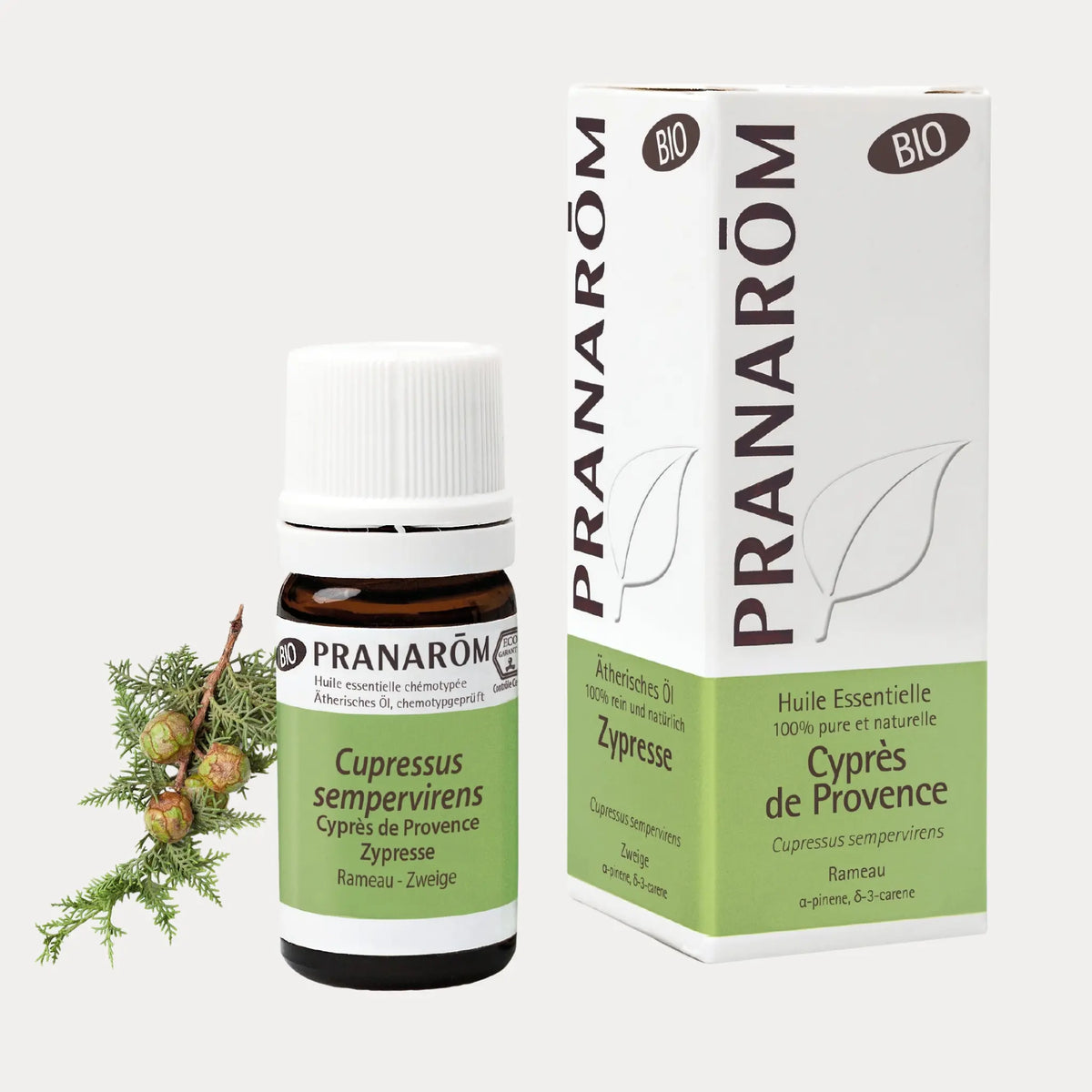 Zypresse BIO - 10ml - soka