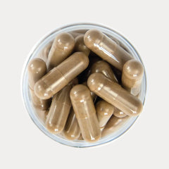 French Mush – Cordyceps - soka