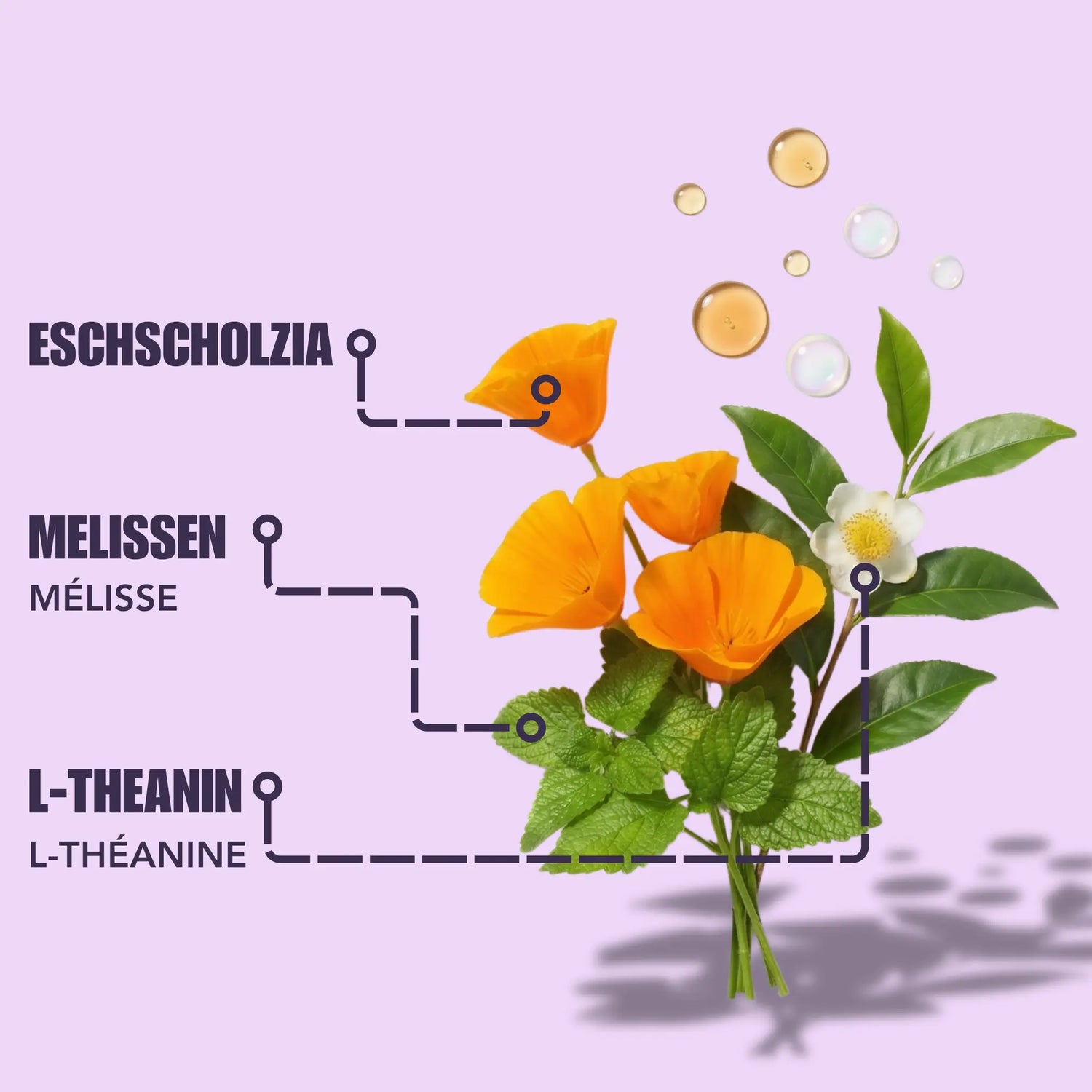 Mium Lab Schlafgummis L-Theanin Vitamin B6 soka.ch