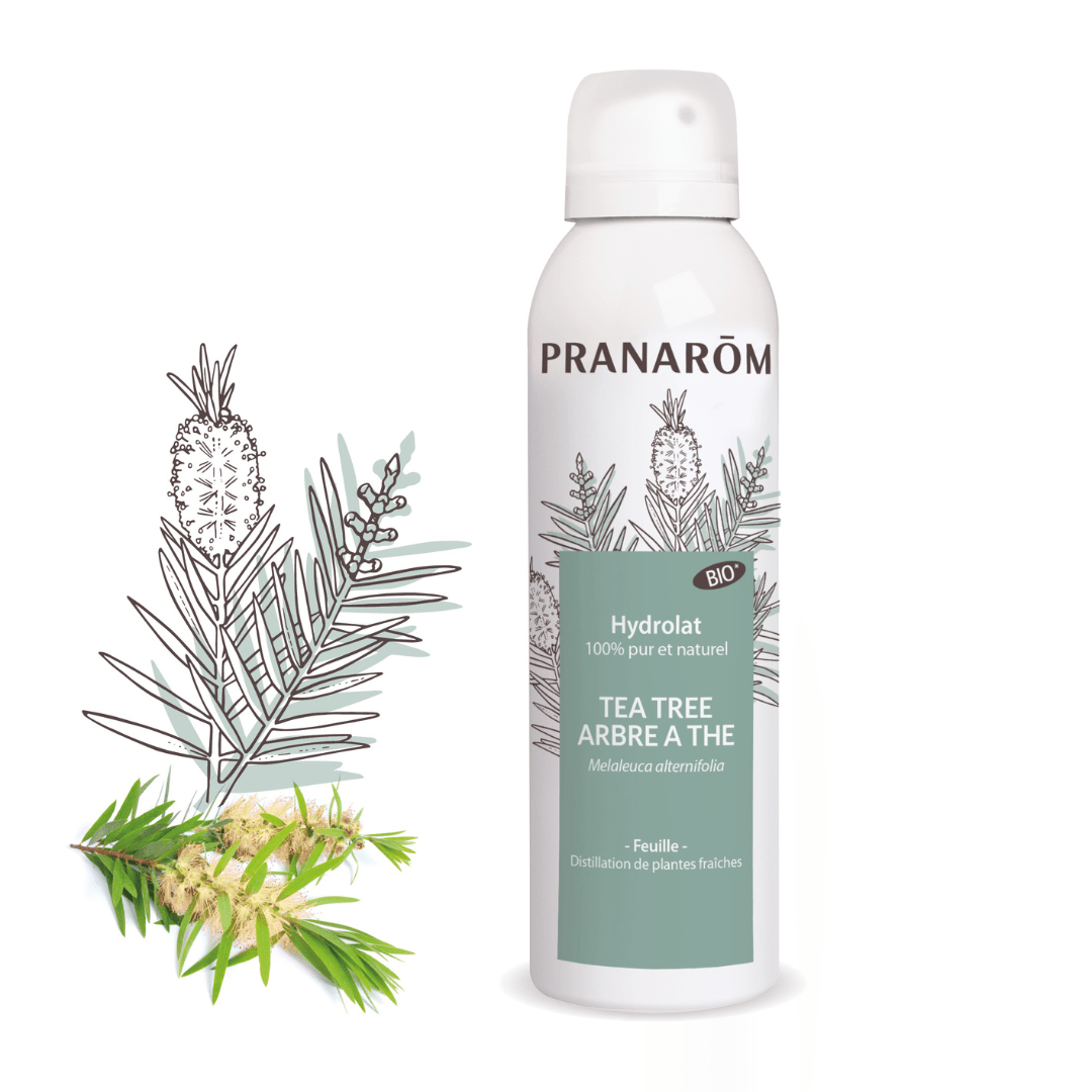 Pranarom Organisches Teebaumhydrolat BIO - 150ml - soka