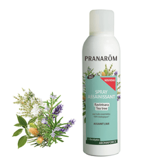 Reinigendes Spray Ravintsara/Teebaum BIO - 150ml - soka