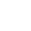 100 % vegan