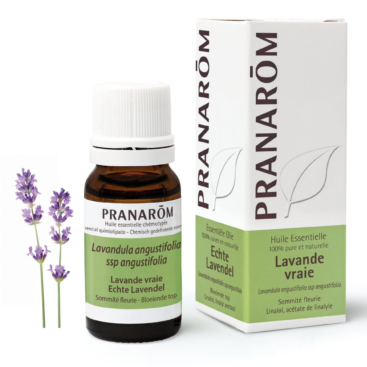Lavendel BIO - soka