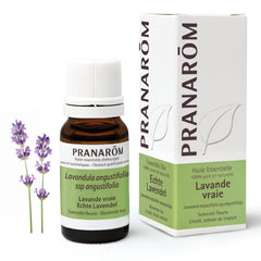 Lavendel BIO - soka