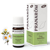 Zistrose BIO - 5ml - soka