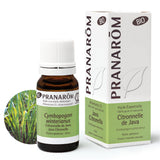 Java Citronella BIO - 10ml - soka