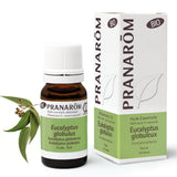 Eukalyptus Globulus BIO - 10ml - soka