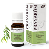 Eukalyptus Radiata BIO - 10ml - soka