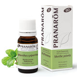 Pfefferminze BIO - 10ml - soka