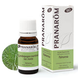 Palmarosa BIO - 10ml - soka