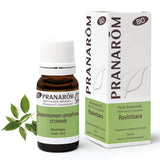 Ravintsara BIO - 10ml - soka