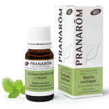 Exotisches Basilikum Bio - 10ml - soka