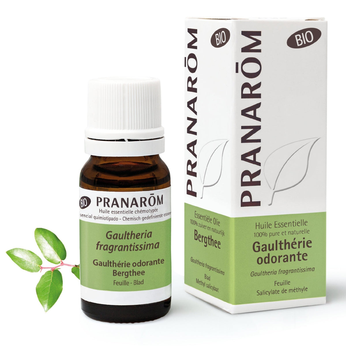Wintergrün BIO - 10ml - soka