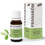 Wintergrün BIO - 10ml - soka